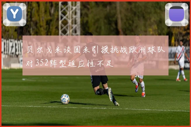 贝尔戈米谈国米引援挑战欧洲球队对352阵型适应性不足