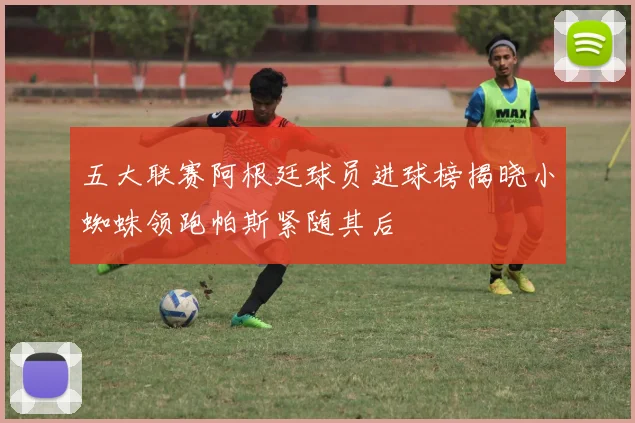 五大联赛阿根廷球员进球榜揭晓小蜘蛛领跑帕斯紧随其后