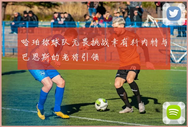 哈珀称球队无畏挑战幸有科内特与巴恩斯的老将引领